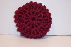 Cranberry Scrubbie