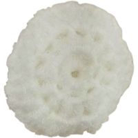 White Scrubbie